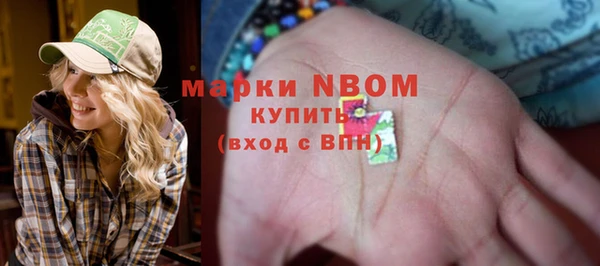 прущие грибы Бугульма