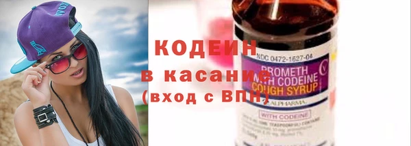 прущие грибы Бугульма